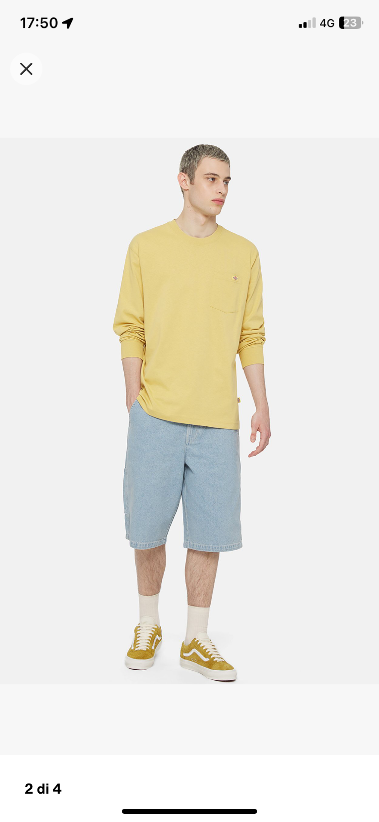 Dickies Madison Chiaro